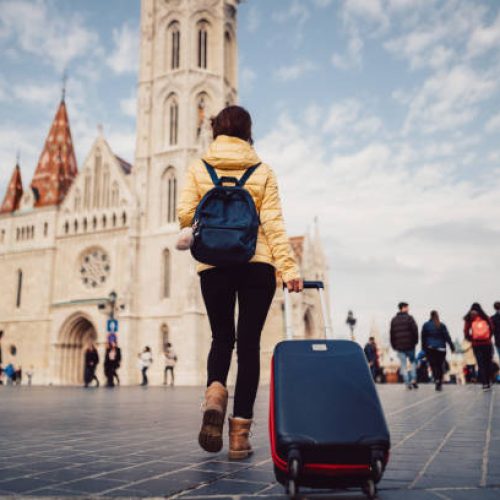 Young woman with suitcase at the castle hill-budapest